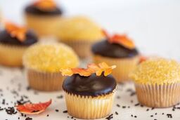 Care Package Cupcakes: Gonzaga Fall 2025