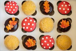 Care Package Cupcakes: Gonzaga Fall 2025