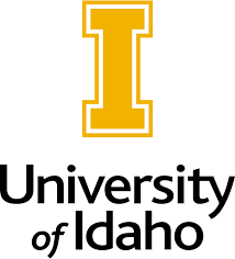 Care Package Cupcakes University of Idaho Fall 2025